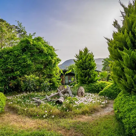 Etenna Beach Bungalows 3* Cirali