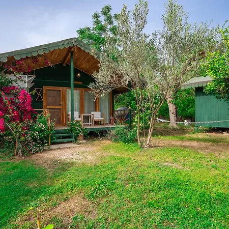 Etenna Beach Bungalows