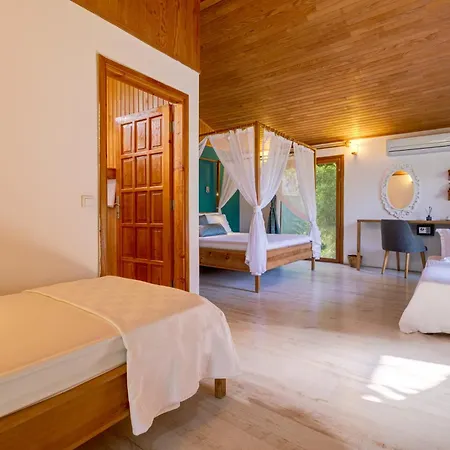 Bed & Breakfast Etenna Beach Bungalows Cirali