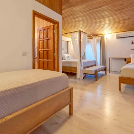 Etenna 3* Çıralı
