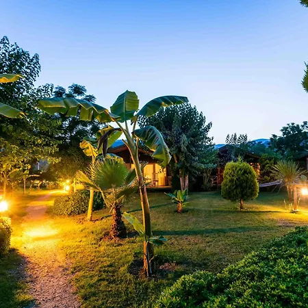 Etenna Beach Bungalows
